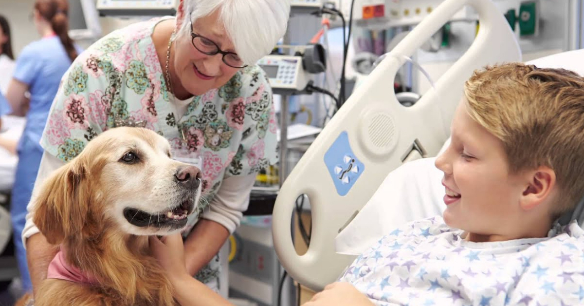 Jak złoty retriever Basti zamienił szpitalne dni chłopca w szczęśliwe chwile