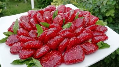 Truskawkowe cukierki kandyzowane — to niesamowicie aromatyczna, piękna i smaczna przyjemność, którą można delektować się o każdej porze roku