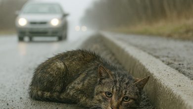 «Czekałem, że wrócisz…»