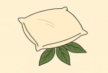 Teściowa za każdym razem wkłada mężowi liść laurowy pod poduszkę. Myślałam, że to jakieś czary… dopóki nie poznałam prawdy…