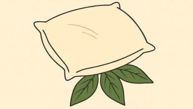 Teściowa za każdym razem wkłada mężowi liść laurowy pod poduszkę. Myślałam, że to jakieś czary… dopóki nie poznałam prawdy…