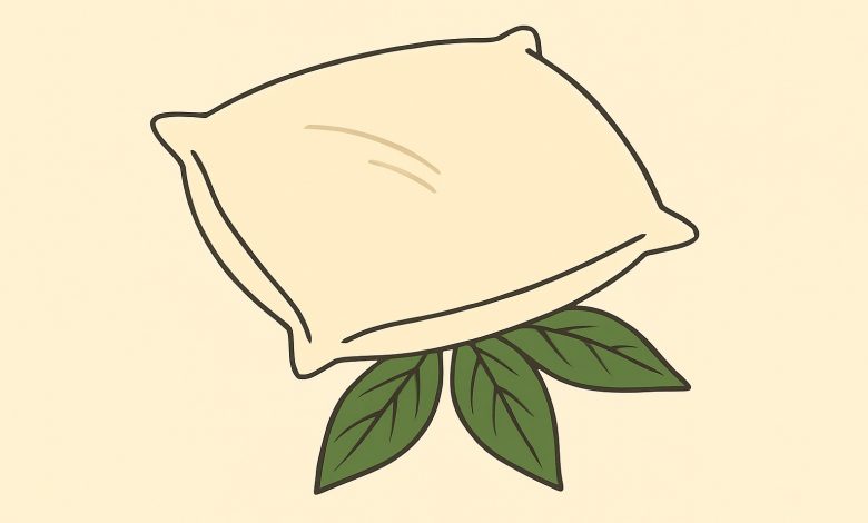 Teściowa za każdym razem wkłada mężowi liść laurowy pod poduszkę. Myślałam, że to jakieś czary… dopóki nie poznałam prawdy… Teściowa za każdym razem wkłada mężowi liść laurowy pod poduszkę. Myślałam, że to jakieś czary… dopóki nie poznałam prawdy…