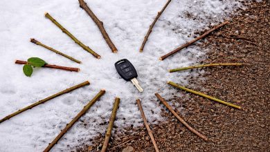 Dziś rano podczas biegu w lesie zgubiłem klucz od samochodu. To, co się potem wydarzyło, było dla mnie całkowitym zaskoczeniem…