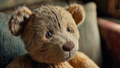 Przywiozłam mojej córce starego pluszowego misia z mojego dzieciństwa. Po pewnym czasie okazało się, że ta zabawka z mojego dzieciństwa nie była taka niewinna, jak mi się wydawało…