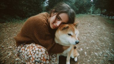 Siostry dzieliły dom babci. Zabrałam tylko jej starego psa — i oniemiałam, kiedy zeskanowałam kod na jego obroży