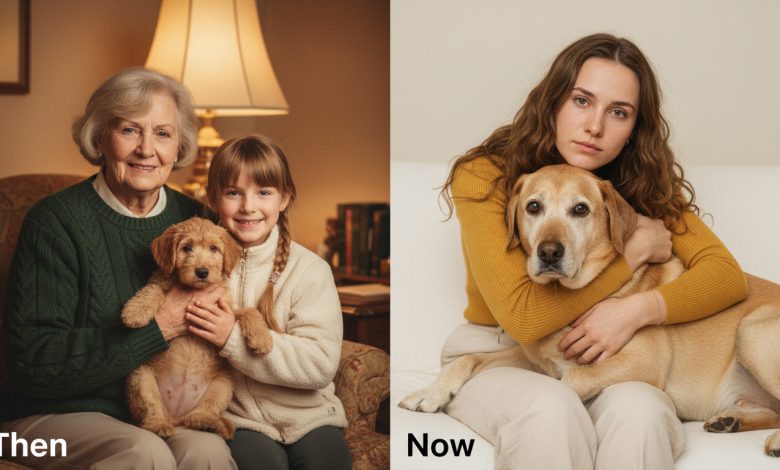 Babcia zostawiła pazernemu kuzynowi sto tysięcy. Mnie — starego psa. Okazało się, że pies skrywał tajemnicę