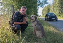 Szczeniak wybiegł do policjantów po pomoc. To, co wydarzyło się potem, trudno zapomnieć…