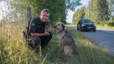 Szczeniak wybiegł do policjantów po pomoc. To, co wydarzyło się potem, trudno zapomnieć…