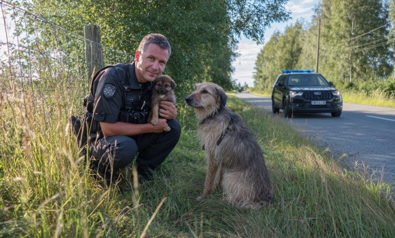 Szczeniak wybiegł do policjantów po pomoc. To, co wydarzyło się potem, trudno zapomnieć…