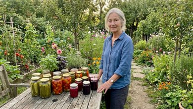 „Trzydzieści lat spędzałam każde lato na działce — grządki, przetwory… Mąż i dzieci przyjeżdżali na weekendy, robili grilla, wypoczywali i wyjeżdżali. Zeszłego lata w czerwcu zamknęłam działkę i po raz pierwszy w życiu poleciałam sama nad morze. Mąż nie rozumiał. Dzieci potępiły. A ja wróciłam i po raz pierwszy od trzydziestu lat poczułam — to lato było moje.”