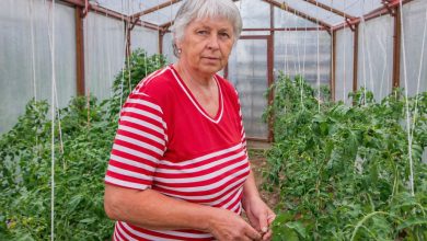 Teściowa przyjechała po naszą kabinę prysznicową… ale urządziłam taki spektakl, że zaczerwieniła się ze wstydu…