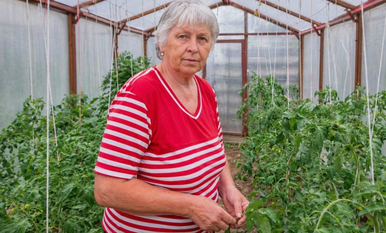Teściowa przyjechała po naszą kabinę prysznicową… ale urządziłam taki spektakl, że zaczerwieniła się ze wstydu…
